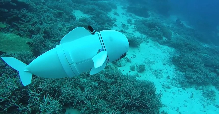 Antarctic ocean Robots