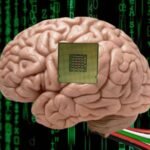 Artificial neuron chip