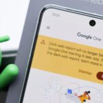 Google Dark Web Report feature